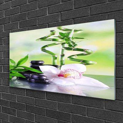 Glasbild aus Plexiglas® Bambusrohre Blume Steine Pflanzen