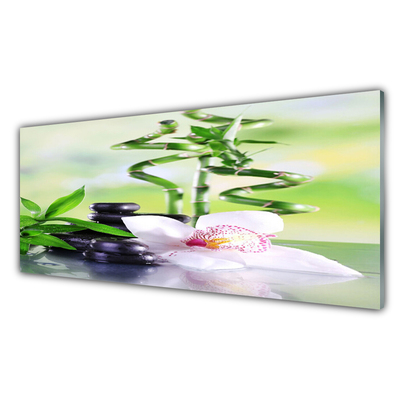 Glasbild aus Plexiglas® Bambusrohre Blume Steine Pflanzen