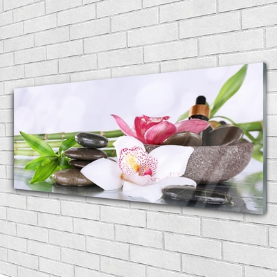 Glasbild aus Plexiglas® Bambusrohre Blume Steine Pflanzen