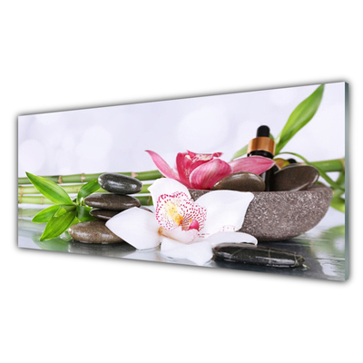 Glasbild aus Plexiglas® Bambusrohre Blume Steine Pflanzen