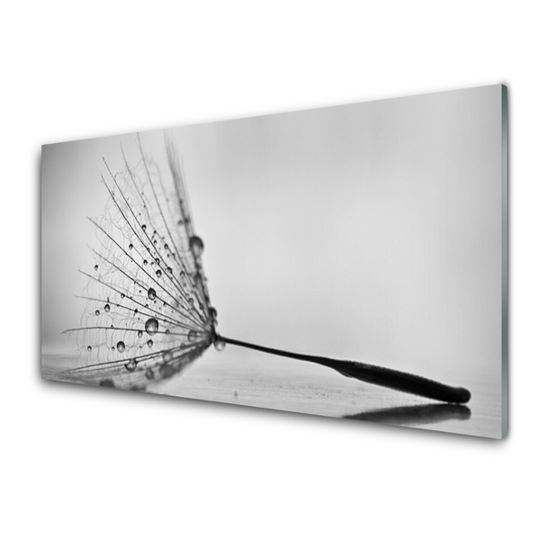 Glasbild aus Plexiglas® Pusteblume Pflanzen