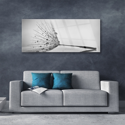 Glasbild aus Plexiglas® Pusteblume Pflanzen