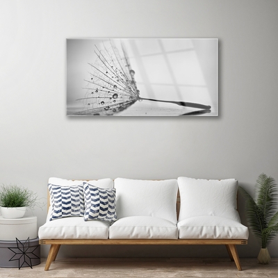 Glasbild aus Plexiglas® Pusteblume Pflanzen