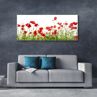 Glasbild aus Plexiglas® Wiese Mohnblumen Natur