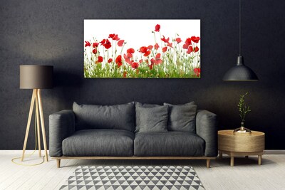 Glasbild aus Plexiglas® Wiese Mohnblumen Natur