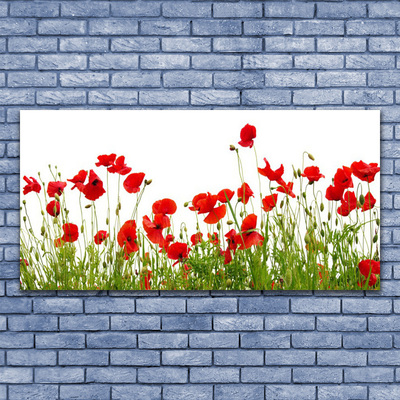 Glasbild aus Plexiglas® Wiese Mohnblumen Natur