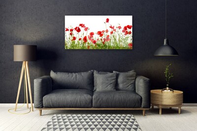 Glasbild aus Plexiglas® Wiese Mohnblumen Natur