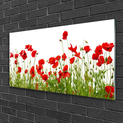 Glasbild aus Plexiglas® Wiese Mohnblumen Natur