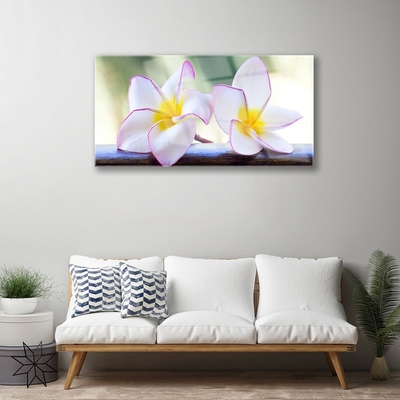 Glasbild aus Plexiglas® Blumen Pflanzen