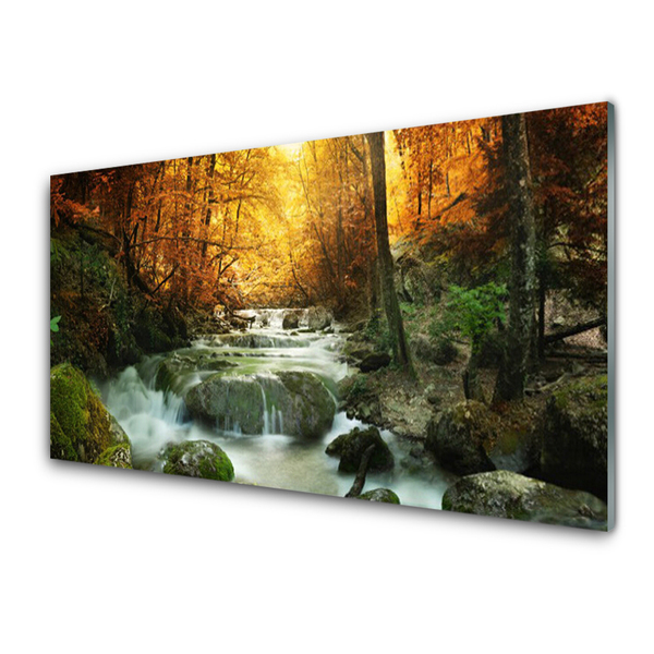 Glasbild aus Plexiglas® Wasserfall Wald Steine Natur