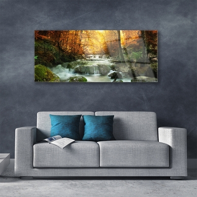 Glasbild aus Plexiglas® Wasserfall Wald Steine Natur