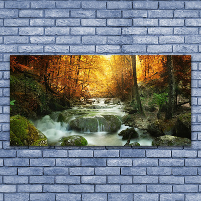 Glasbild aus Plexiglas® Wasserfall Wald Steine Natur