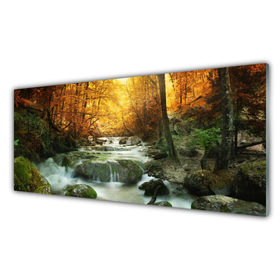 Glasbild aus Plexiglas® Wasserfall Wald Steine Natur