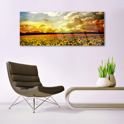 Glasbild aus Plexiglas® Wiese Sonnenblumen Pflanzen