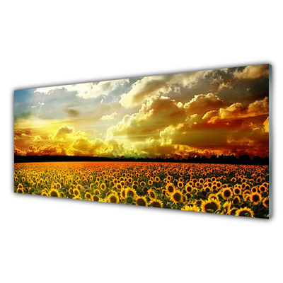 Glasbild aus Plexiglas® Wiese Sonnenblumen Pflanzen