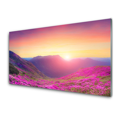 Glasbild aus Plexiglas® Sonne Gebirge Wiese Natur