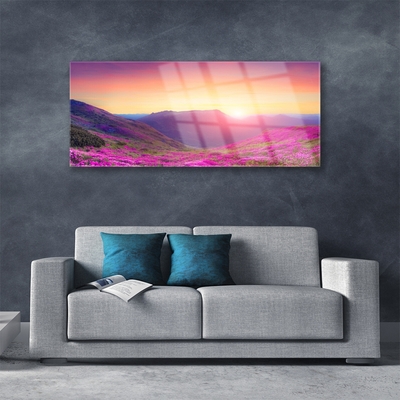 Glasbild aus Plexiglas® Sonne Gebirge Wiese Natur