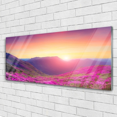 Glasbild aus Plexiglas® Sonne Gebirge Wiese Natur