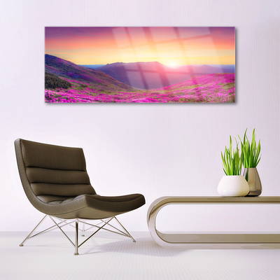 Glasbild aus Plexiglas® Sonne Gebirge Wiese Natur