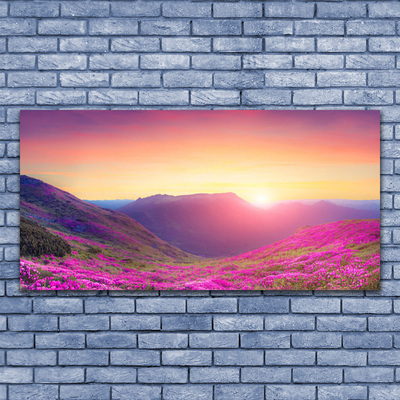 Glasbild aus Plexiglas® Sonne Gebirge Wiese Natur