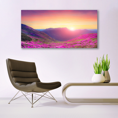 Glasbild aus Plexiglas® Sonne Gebirge Wiese Natur