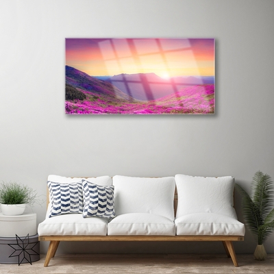 Glasbild aus Plexiglas® Sonne Gebirge Wiese Natur