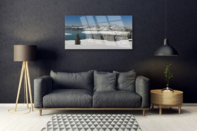 Glasbild aus Plexiglas® Schnee See Wald Landschaft