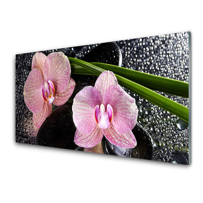 Glasbild aus Plexiglas® Stengel Blumen Pflanzen