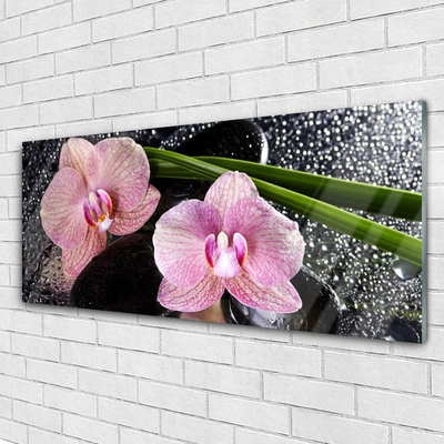 Glasbild aus Plexiglas® Stengel Blumen Pflanzen