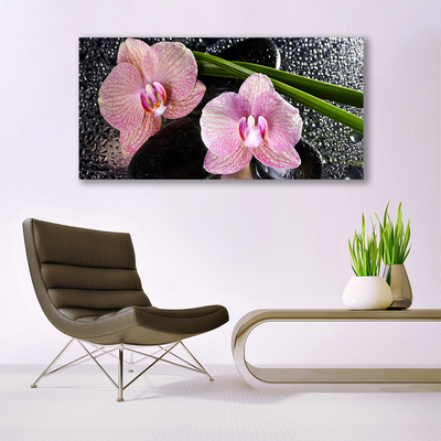 Glasbild aus Plexiglas® Stengel Blumen Pflanzen