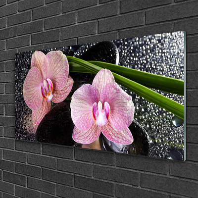 Glasbild aus Plexiglas® Stengel Blumen Pflanzen