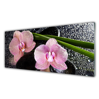 Glasbild aus Plexiglas® Stengel Blumen Pflanzen