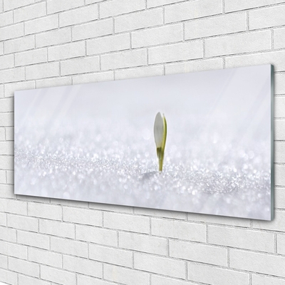 Glasbild aus Plexiglas® Blume Pflanzen