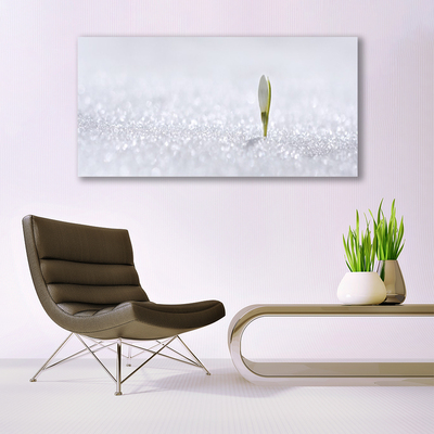 Glasbild aus Plexiglas® Blume Pflanzen