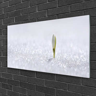 Glasbild aus Plexiglas® Blume Pflanzen