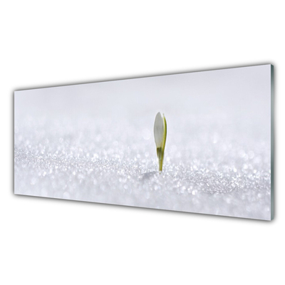 Glasbild aus Plexiglas® Blume Pflanzen