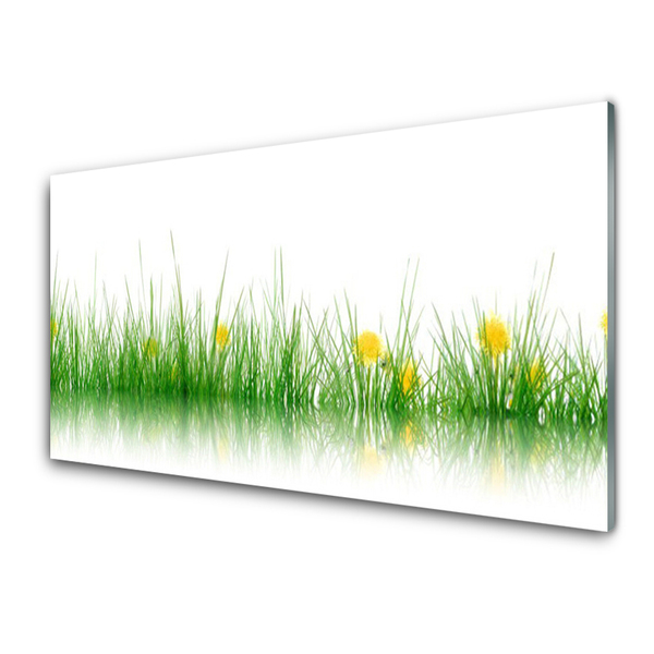 Glasbild aus Plexiglas® Gras Natur