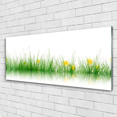 Glasbild aus Plexiglas® Gras Natur