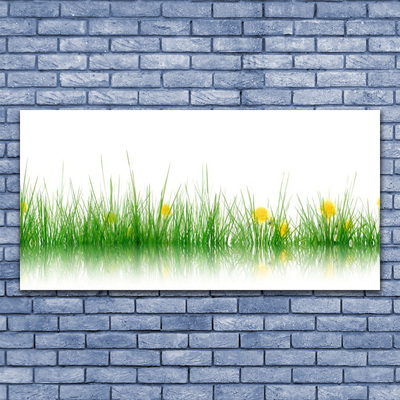 Glasbild aus Plexiglas® Gras Natur