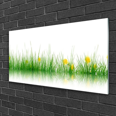 Glasbild aus Plexiglas® Gras Natur