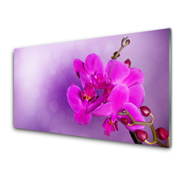 Glasbild aus Plexiglas® Blumen Pflanzen