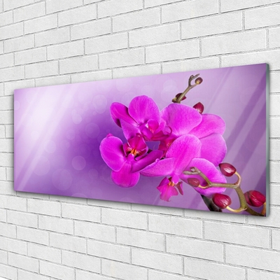 Glasbild aus Plexiglas® Blumen Pflanzen