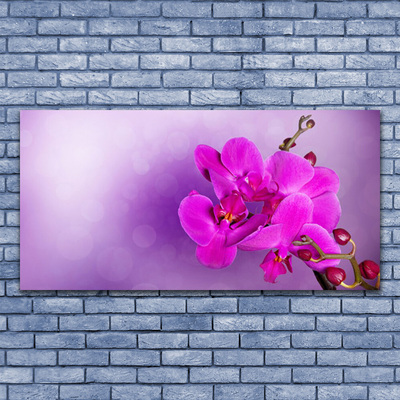 Glasbild aus Plexiglas® Blumen Pflanzen