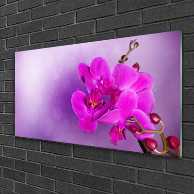 Glasbild aus Plexiglas® Blumen Pflanzen