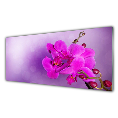 Glasbild aus Plexiglas® Blumen Pflanzen