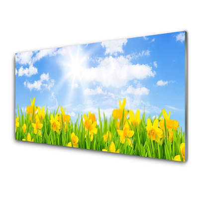 Glasbild aus Plexiglas® Jonquille Sonne Pflanzen