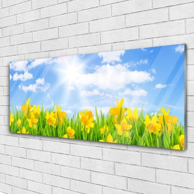 Glasbild aus Plexiglas® Jonquille Sonne Pflanzen