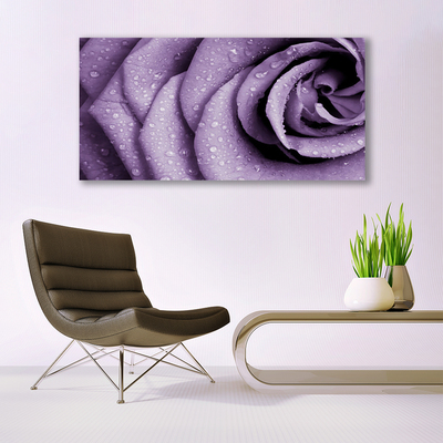 Glasbild aus Plexiglas® Rose Pflanzen