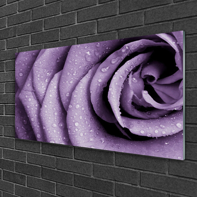 Glasbild aus Plexiglas® Rose Pflanzen