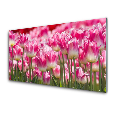 Glasbild aus Plexiglas® Tulpen Pflanzen